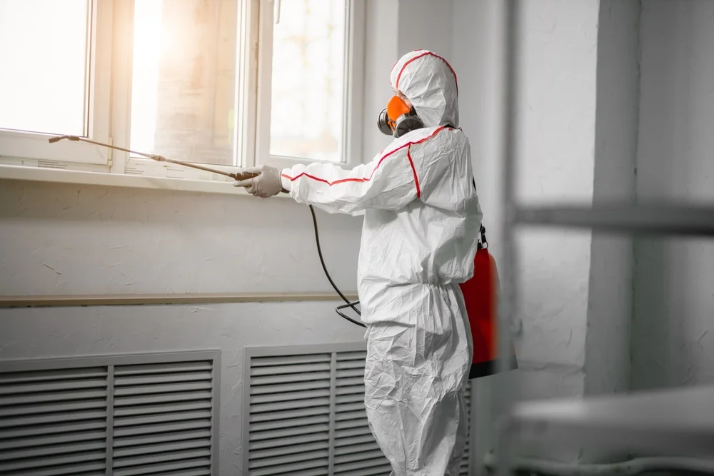 Professional mold remediation services in Cortez, FL